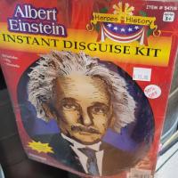 Einstein disguise kit